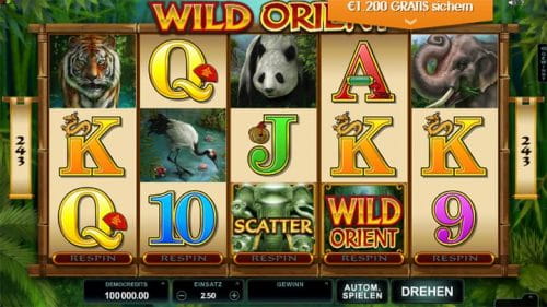 wild-orient wild-orient